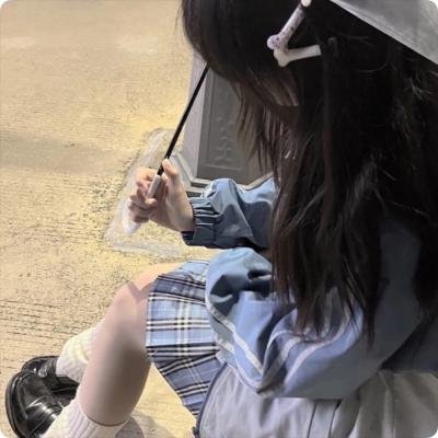 红墙盗影